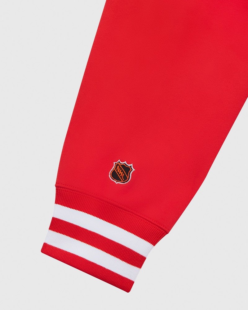 maglioni di ottobre la felpa con cappuccio ovo detroit red wings reds